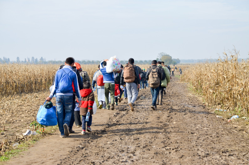 Diaspora Communities As Facilitators of Migration